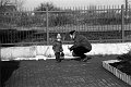 Julka i Zaba